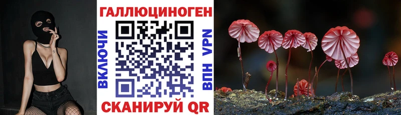 OMG вход  Уяр  Галлюциногенные грибы Psilocybe 